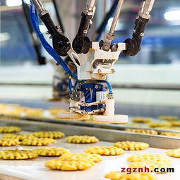 阿智商鋪攜手上海發(fā)那科 工業(yè)機(jī)器人M-2iA助力食品包裝效率提升50%